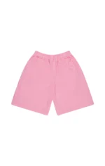 southst SST MESH SHORTS LONG - Pink